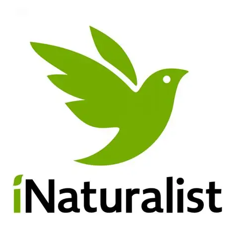 logoinatur